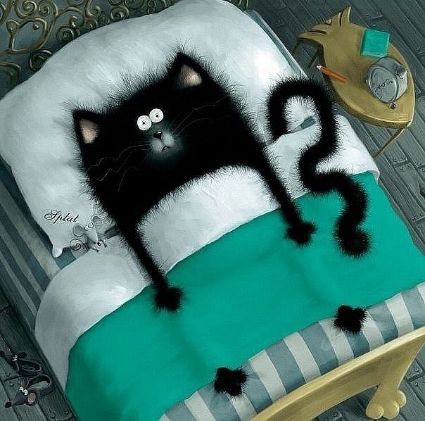 Deizi Deizi | Мурманск