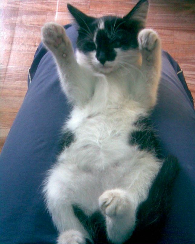 Гульнур Шаяхметова-Хужахметова | 