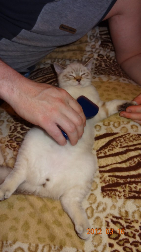 Наталия Листова | Санкт-Петербург