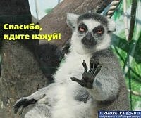 №31, Павел Бондаренко, Москва №31, Павел Бондаренко, Москва