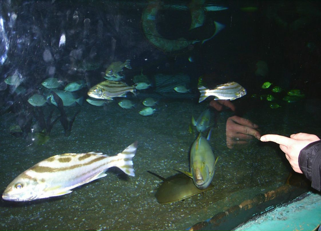 Сергей Пономарев ˙·٠✈ | Новосибирск