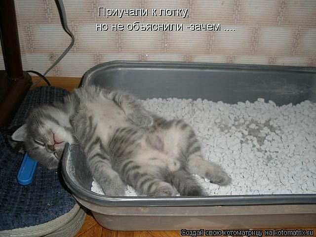 №58, Мария Ружило, 40 лет, Днепр (Днепропетровск) №58, Мария Ружило, 40 лет, Днепр (Днепропетровск)