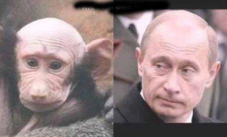 №52, Дмитрий Никулин, Нижний Новгород №52, Дмитрий Никулин, Нижний Новгород