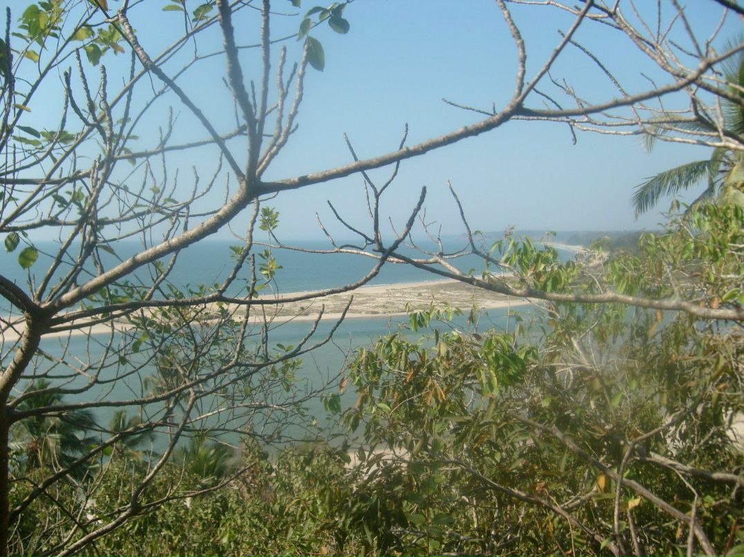 Ирина Бархатова | 