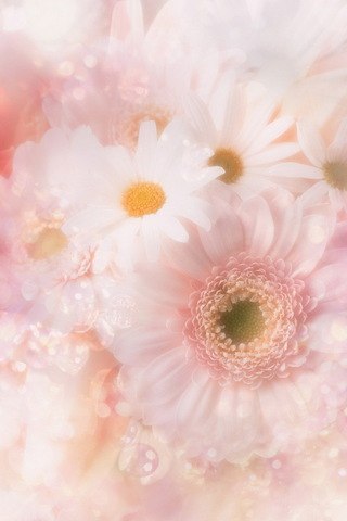 Александра Петкевич | Минск