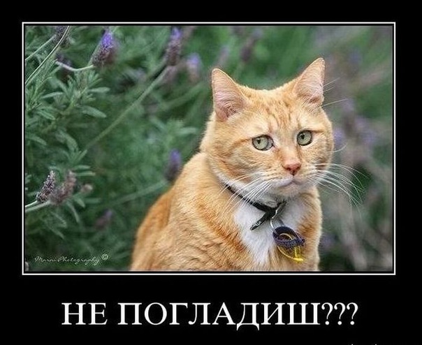 №12, Дима Яковлев, 41 год, Нягань №12, Дима Яковлев, 41 год, Нягань