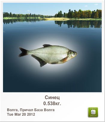 Денис Солодилов | Москва