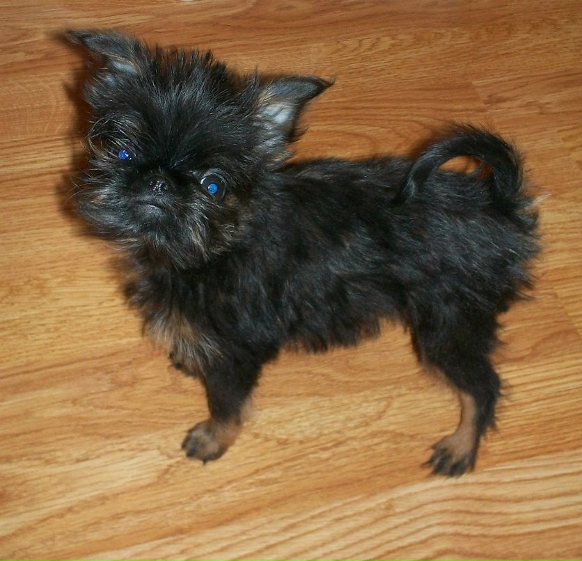 Марина Смирнова | Москва