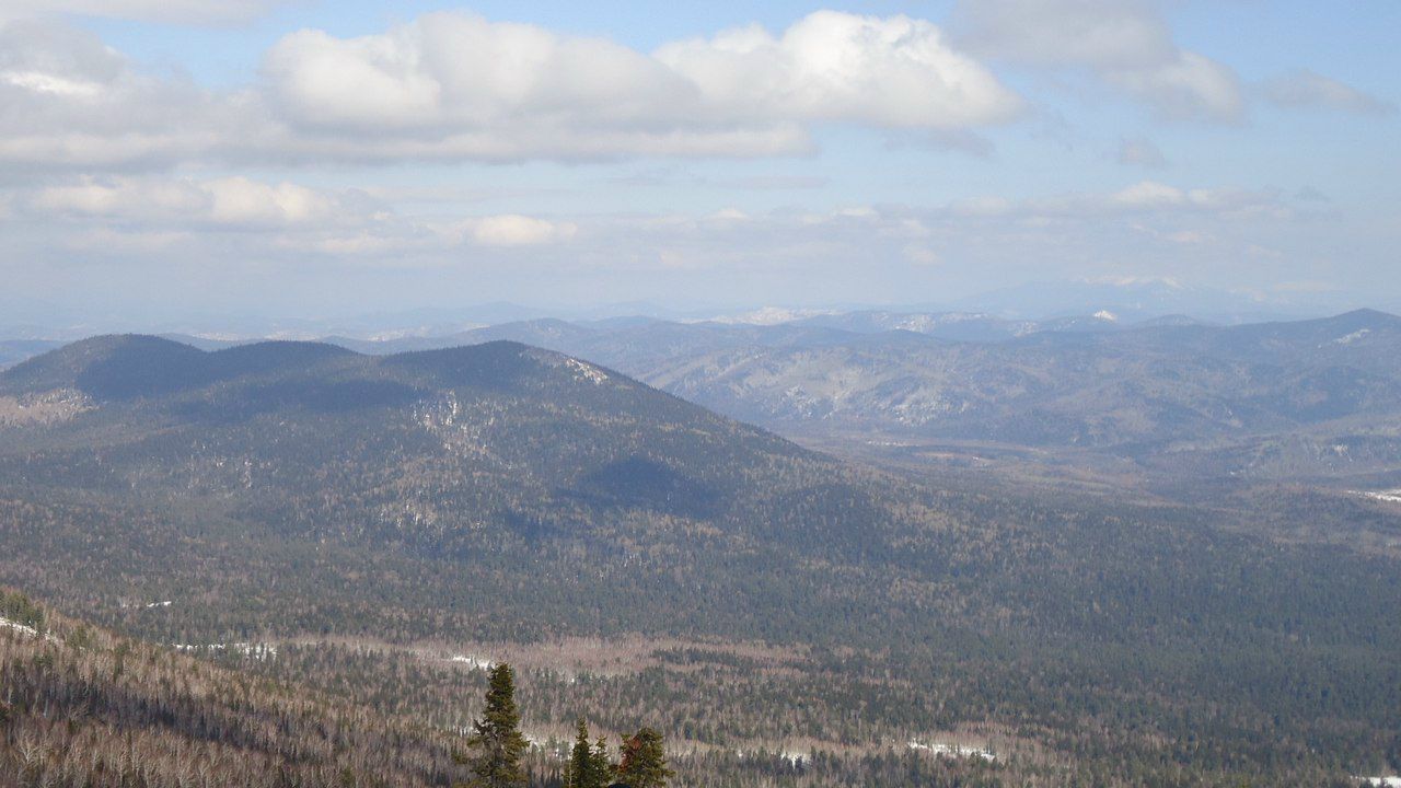 Евгений Климов | Березовский