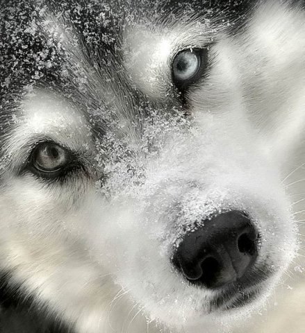 Валентина Лузгина | Кропачёво