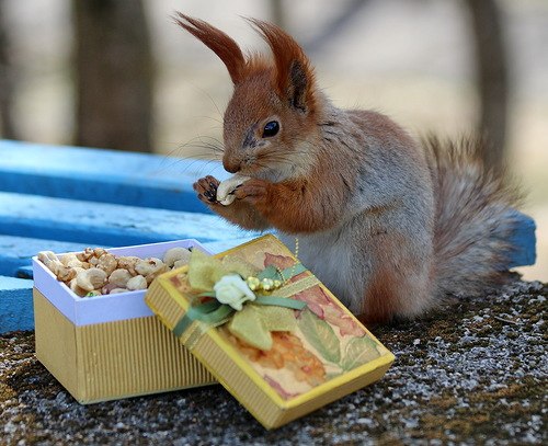 №143, Мария Головичёва, Новосибирск №143, Мария Головичёва, Новосибирск