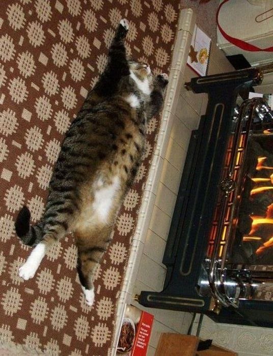 Владимир Голубь | 