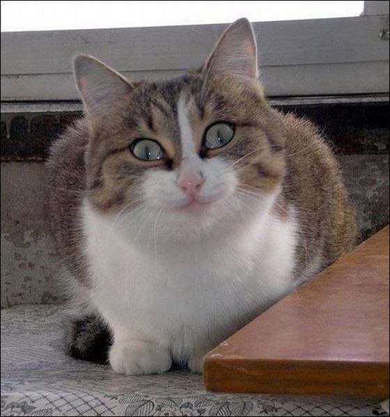 Joo Joy | Санкт-Петербург