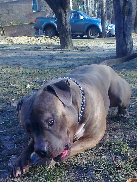 Александр Тимченко | Киев