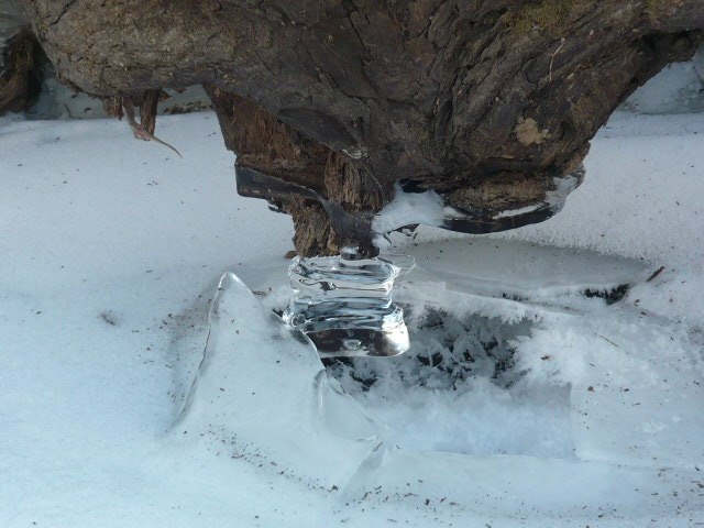 Маргарита Бржозовская | Великий Новгород