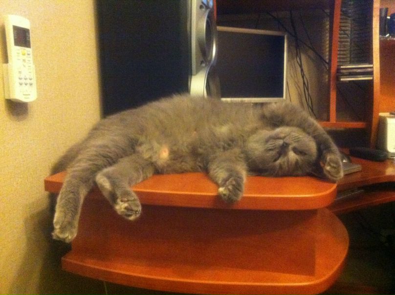 №69, Irina Ivaylovskaya, 40 лет, Санкт-Петербург, Россия №69, Irina Ivaylovskaya, 40 лет, Санкт-Петербург, Россия