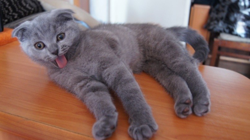 Дмитрий Андреевич | Мелитополь