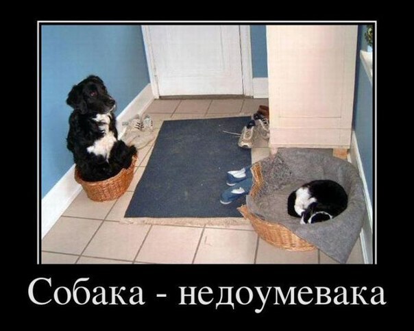 Андрей Лефутуренко | Киев