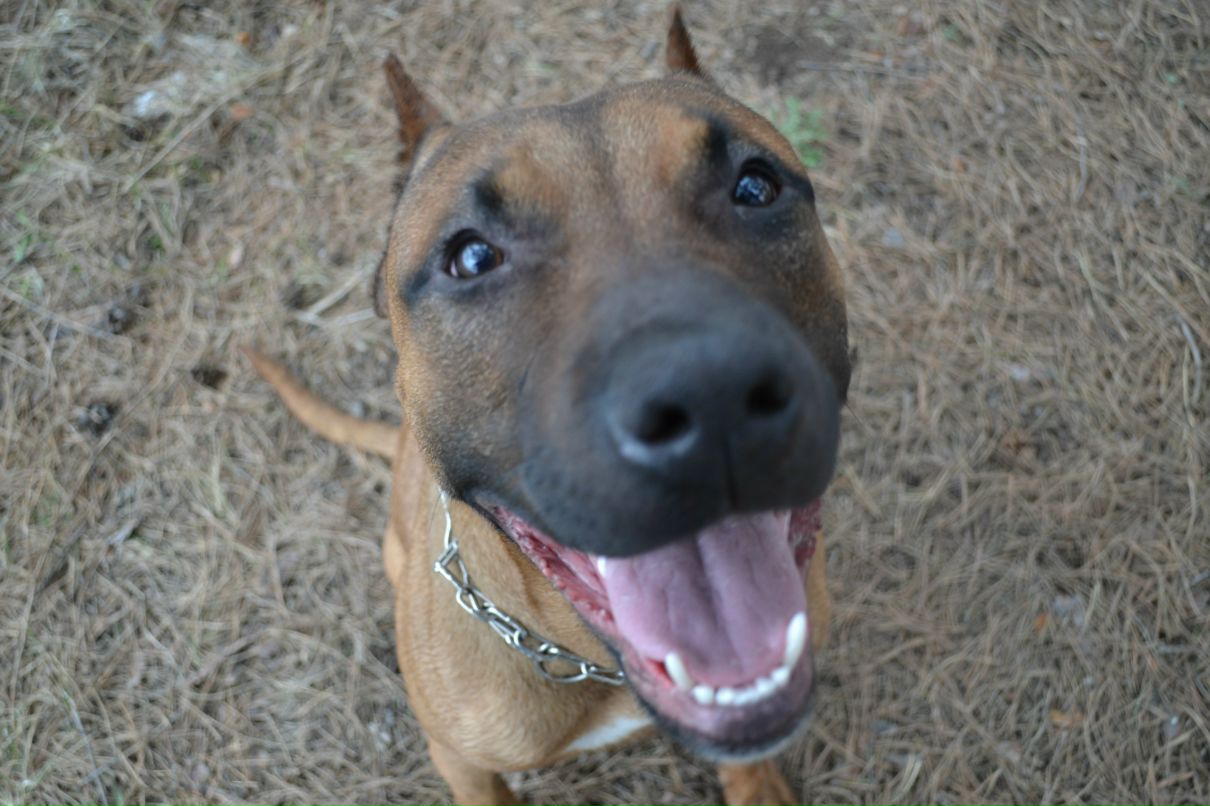 Дмитрий Назаров | Киев