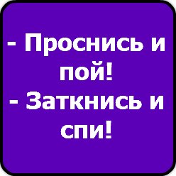 Дарья Новикова | Королёв