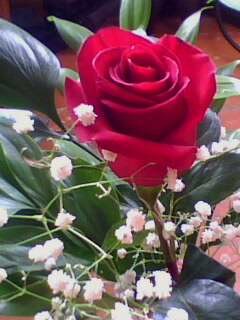 Алёна Прокопцева | 