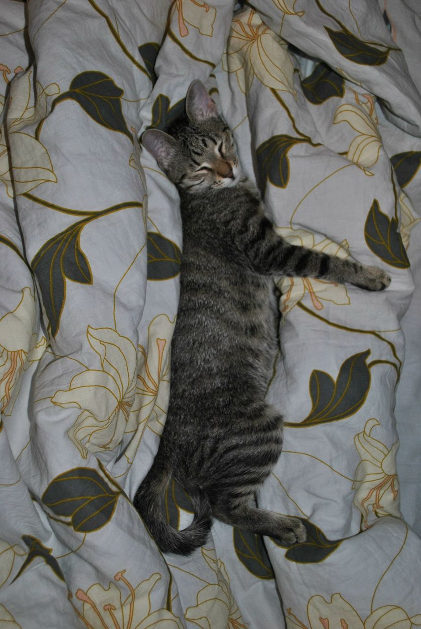 Евгений Капралов | Санкт-Петербург