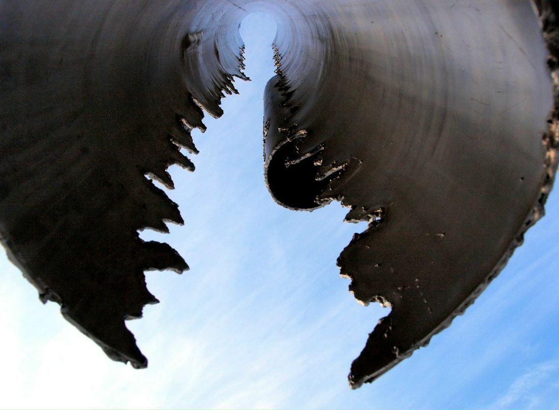 Анастасия Крячко | 