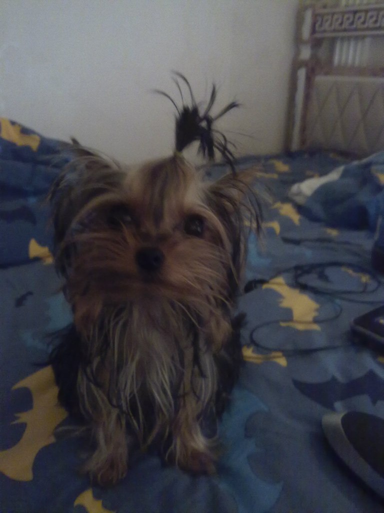 Таймураз Албегов | Москва