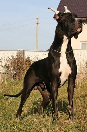 Ольга Якимова | Новосибирск