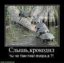 Фотография Тёма Каштанов