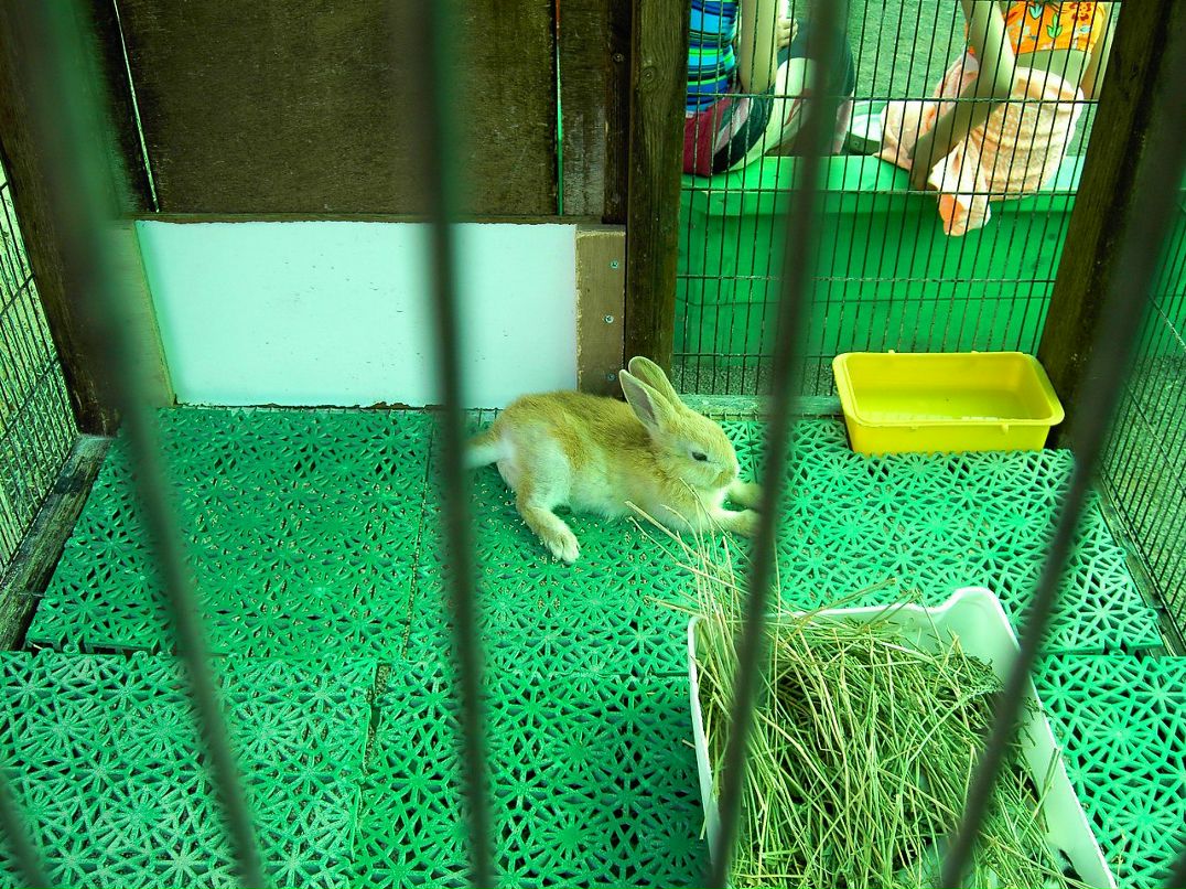 Макс Мельников | Иерусалим