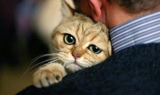 Настя Баркова ♥ | Воронеж