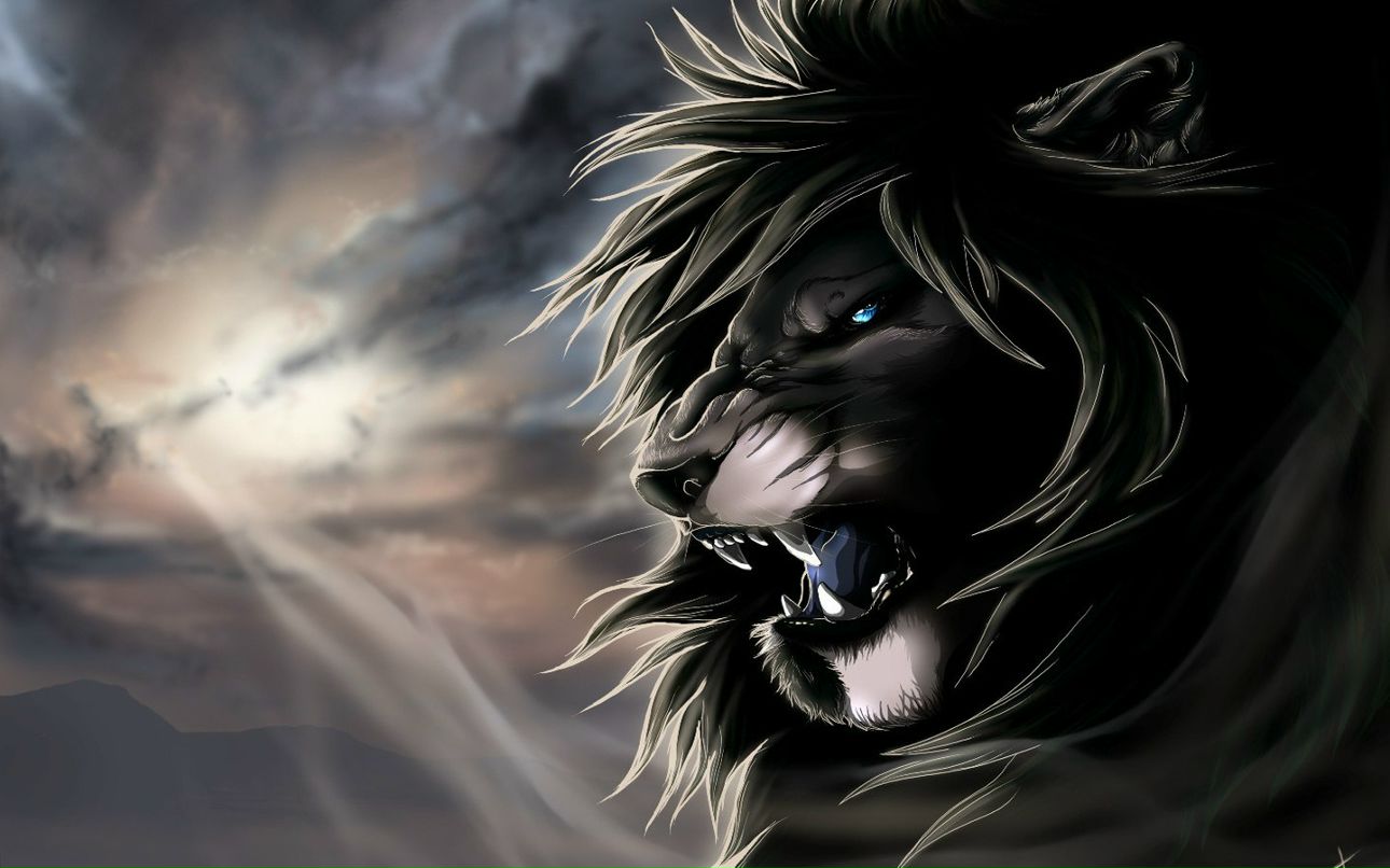 Дмитрий Лисняк | Запорожье