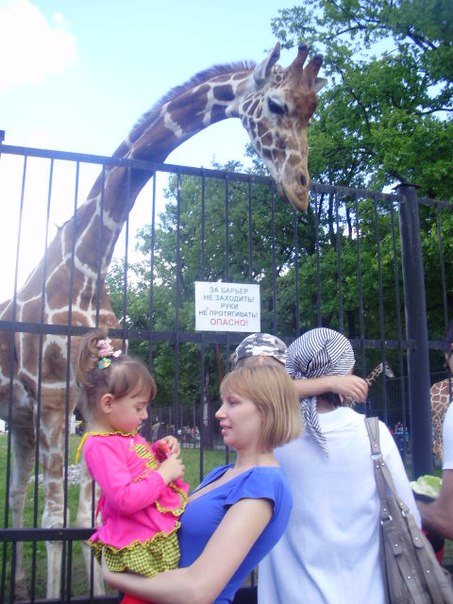 №102, Екатерина Резепова-Томайлы, Калининград №102, Екатерина Резепова-Томайлы, Калининград