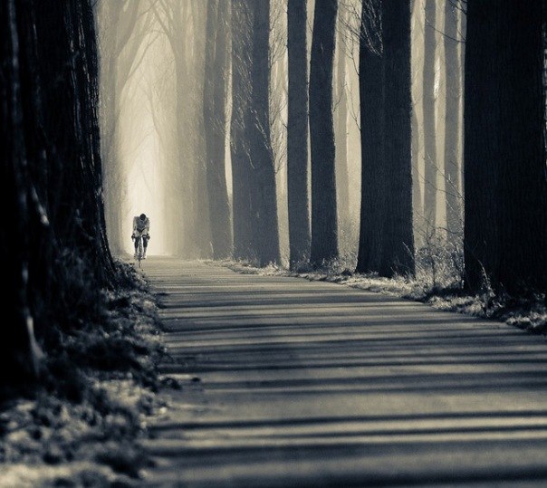 Sasha Шинкаренко | Севастополь