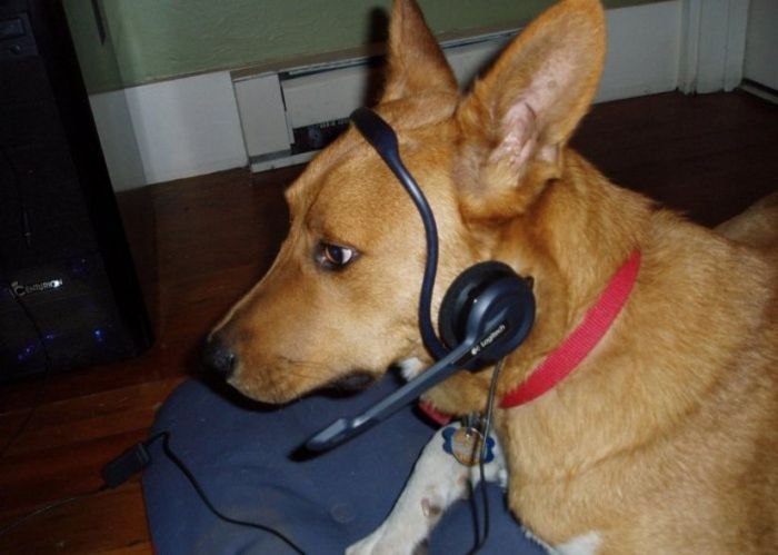 Александр Нацевич | Киев