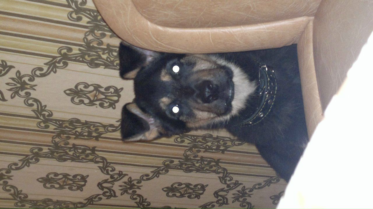 Сергей Кузнецов | Мончегорск