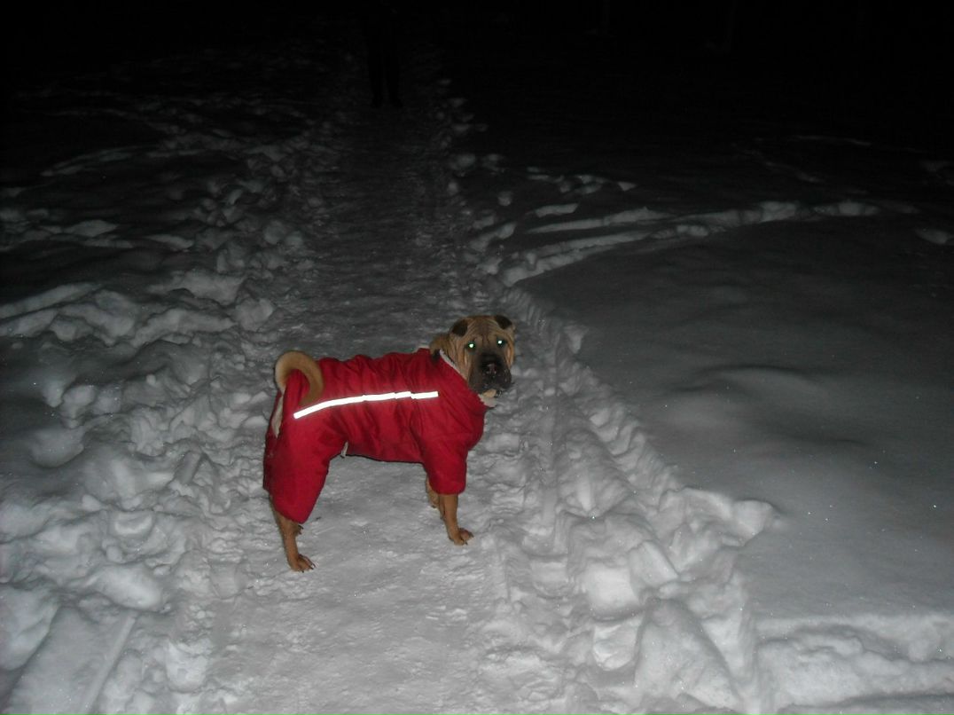 Артем Наговицын | Белая Церковь