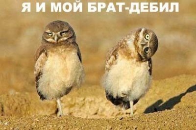 №4, Стас Вайнагій, Тячев №4, Стас Вайнагій, Тячев