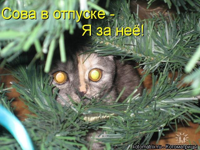 Анатолий Мартыновский folko | Молодечно