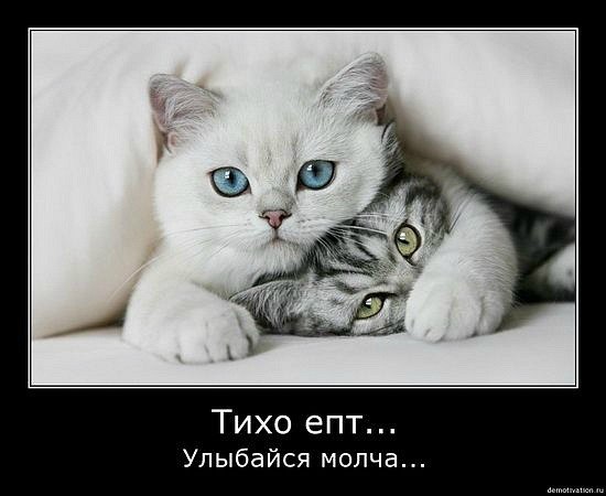 Мария Моисейчева | Киев