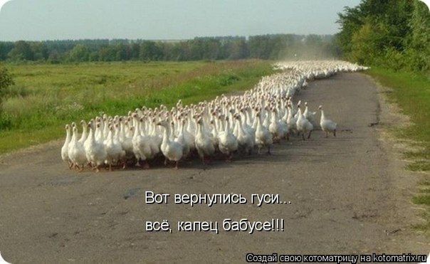 Евгения Игошина | Санкт-Петербург