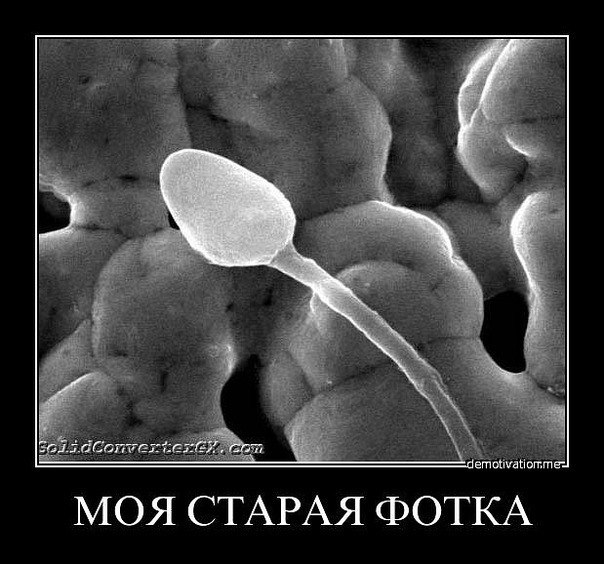 Сергей Лебедев | Новочебоксарск