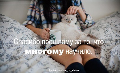 Полина Король | Ковров