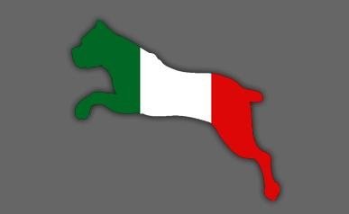 Жанна Пронина | Рязань