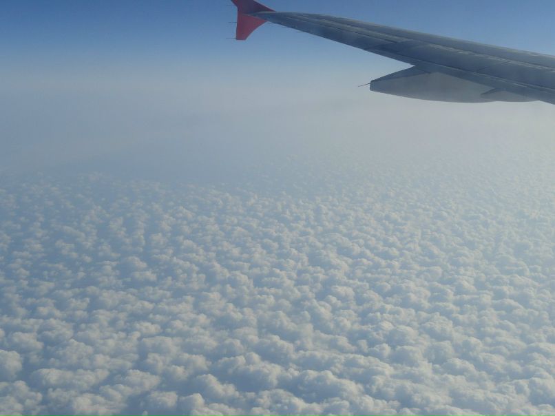 Аня Лоскот | Киев