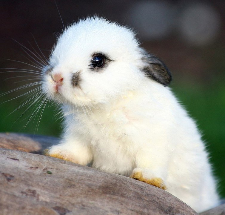 Кристина Шацких | Мурино