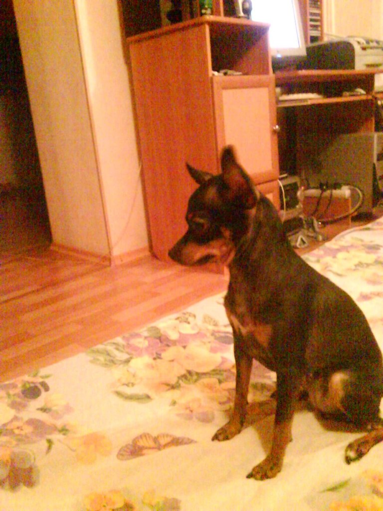 Адель Мухаметшин | Казань