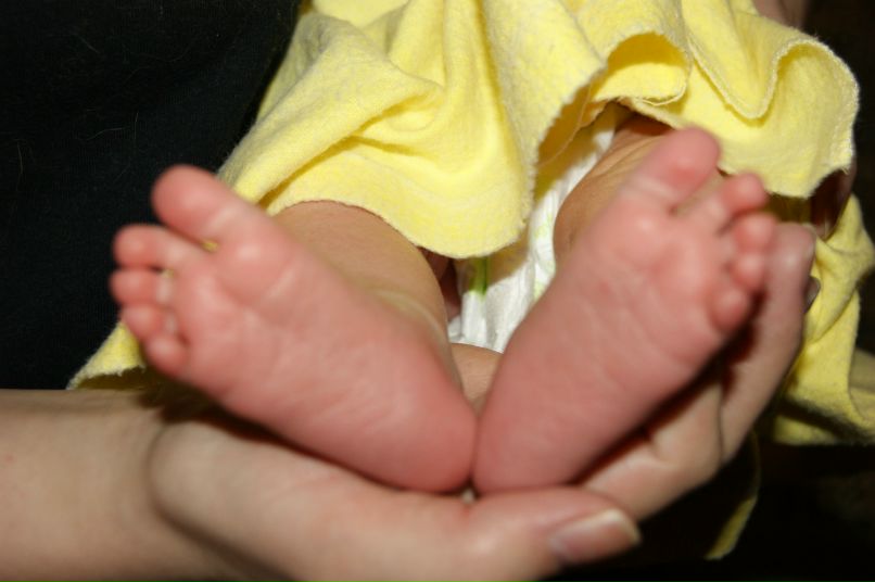 Александр Кононов | Москва