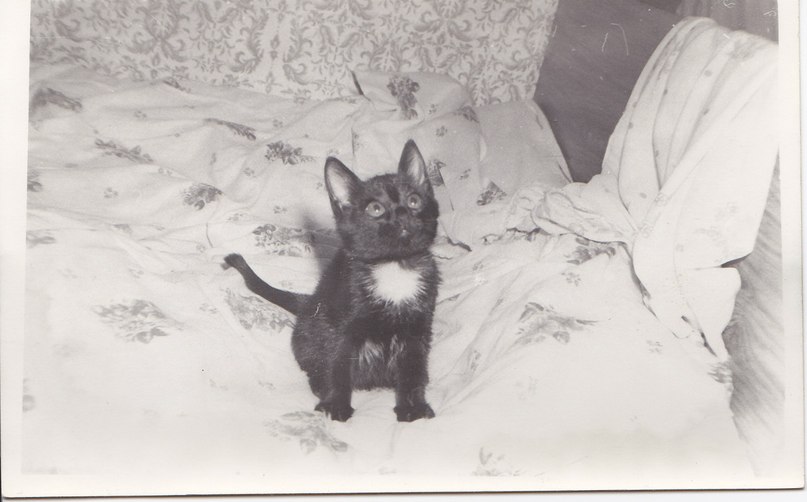 Ольга Мытку | Киров